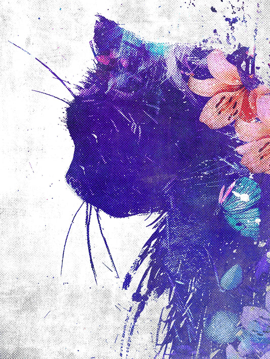 Cato Abstracto the 2nd