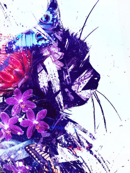 Cato Abstracto the 1st