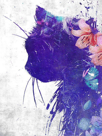 Cato Abstracto the 2nd
