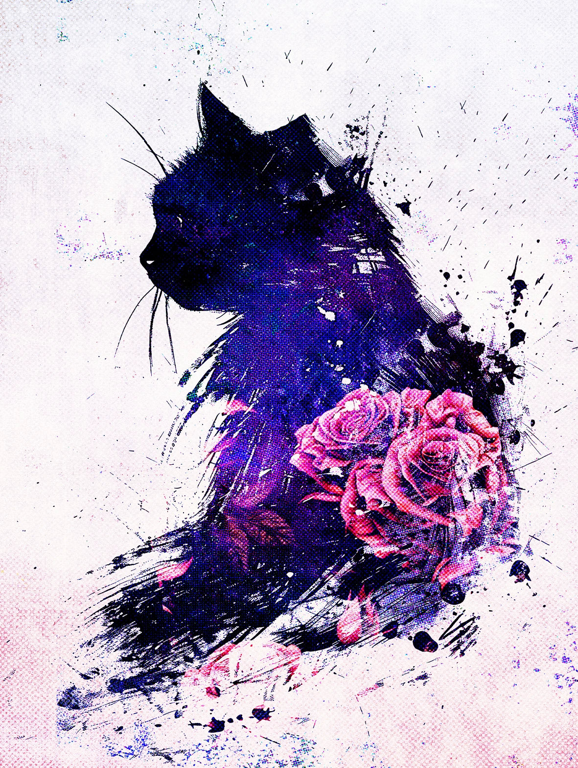 Cato Abstracto the 3rd